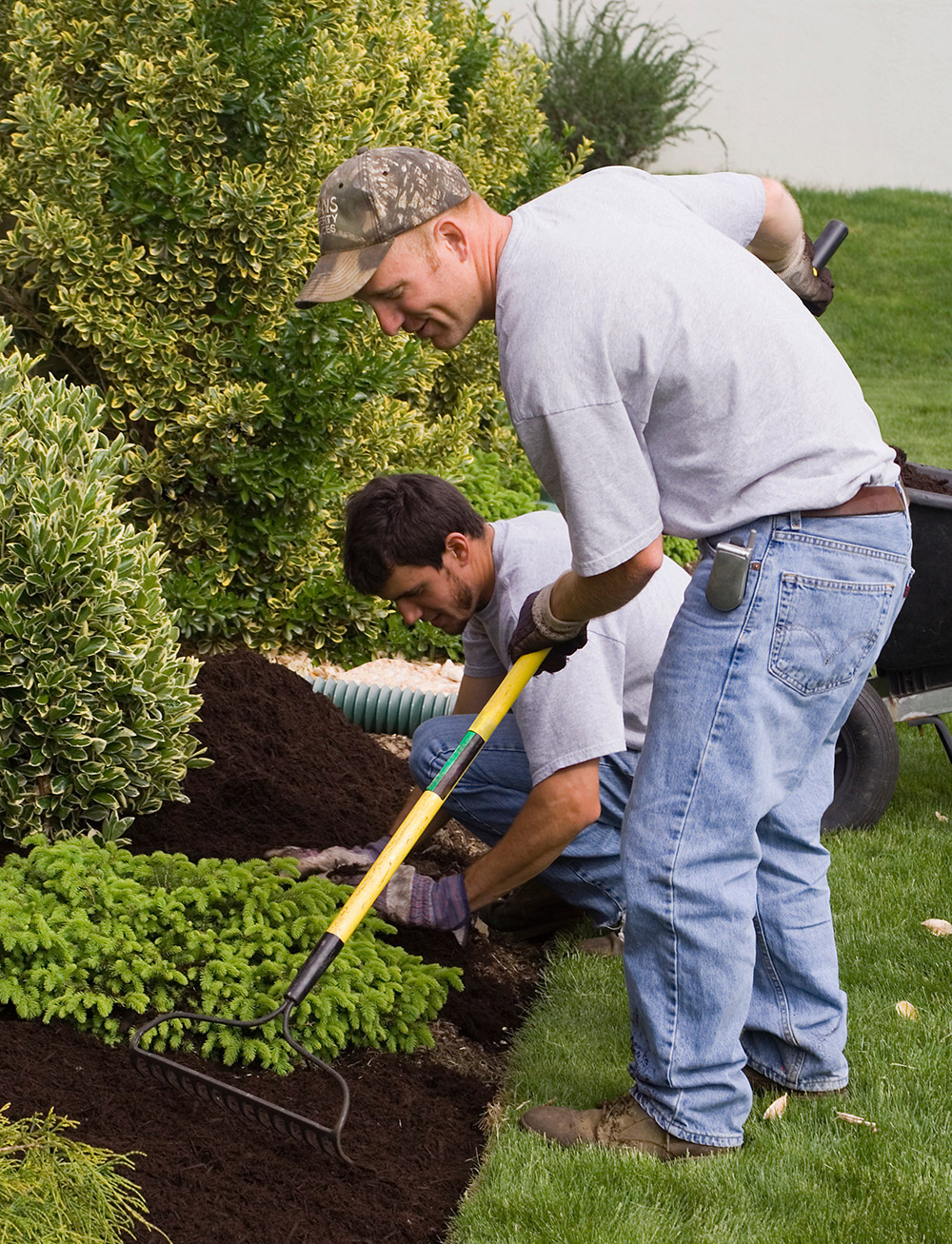 lawn-maintainance